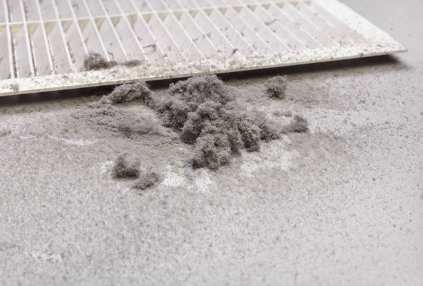 Best Residential Air Duct Cleaning  in Carrizozo, NM