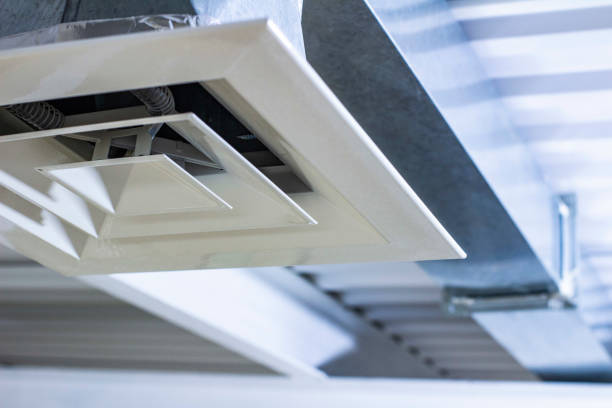 Best Home Air Vent Cleaning  in Carrizozo, NM