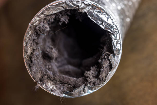 Best Professional Duct Cleaning Services  in Carrizozo, NM