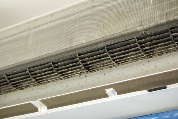 Best Air Vent Cleaning Services  in Carrizozo, NM