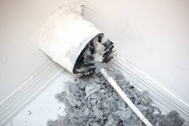 Best Dryer Vent Cleaning Services  in Carrizozo, NM